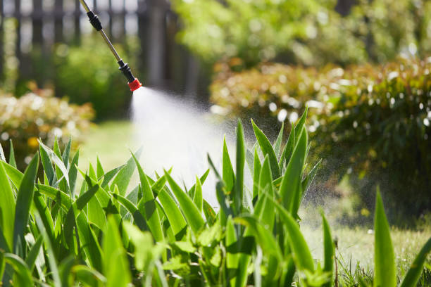 24/7 Emergency Mosquito Control experts in Grabill, IN